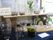 ����̎���vol.8_008