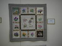 ����@���q