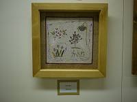 ���c�@�g�]