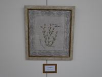 木村春代 刺しゅう